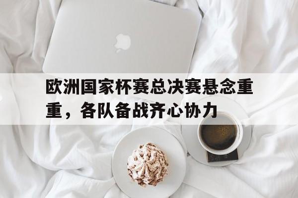 欧洲国家杯赛总决赛悬念重重，各队备战齐心协力的简单介绍