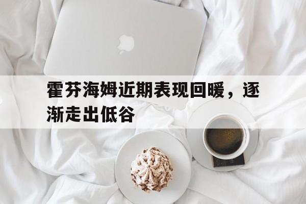 霍芬海姆近期表现回暖，逐渐走出低谷的简单介绍