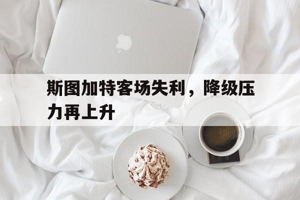 斯图加特客场失利，降级压力再上升的简单介绍