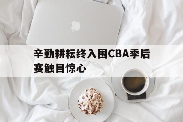 辛勤耕耘终入围CBA季后赛触目惊心的简单介绍