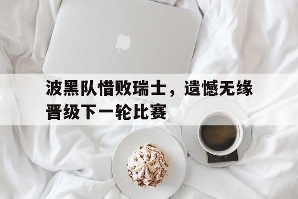 波黑队惜败瑞士，遗憾无缘晋级下一轮比赛的简单介绍