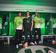 APP下载-德甲沃尔夫斯堡官网