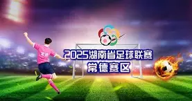 Yabo-国内联赛排名